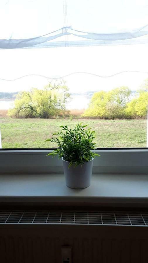 Ferienwohnung Mit Seeblick Brandenburg  Extérieur photo